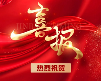 喜报|尊龙凯时人生就是搏汽车荣登2024中国民营汽车流通行业百强榜、社会责任百强榜